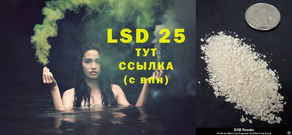 ГАЛЛЮЦИНОГЕННЫЕ ГРИБЫ Карталы