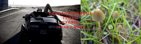 каннабис Касимов