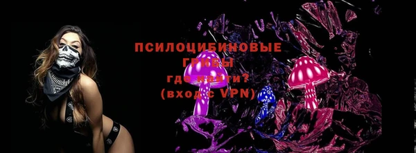 ГАЛЛЮЦИНОГЕННЫЕ ГРИБЫ Карпинск