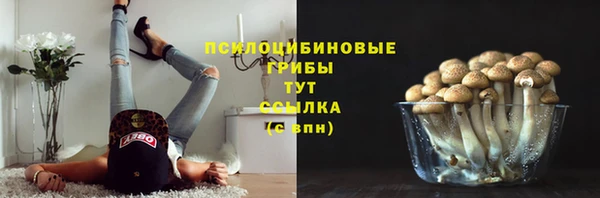 ГАЛЛЮЦИНОГЕННЫЕ ГРИБЫ Карталы
