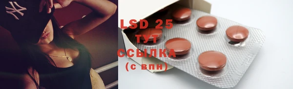 ГАЛЛЮЦИНОГЕННЫЕ ГРИБЫ Карталы