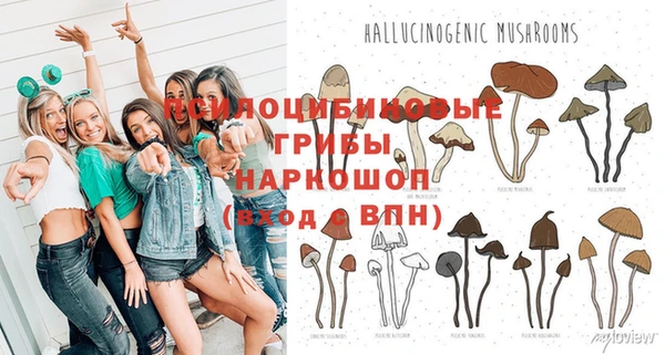ГАЛЛЮЦИНОГЕННЫЕ ГРИБЫ Карпинск