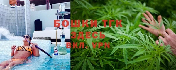ГАЛЛЮЦИНОГЕННЫЕ ГРИБЫ Карталы