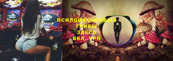 ГАЛЛЮЦИНОГЕННЫЕ ГРИБЫ Карпинск