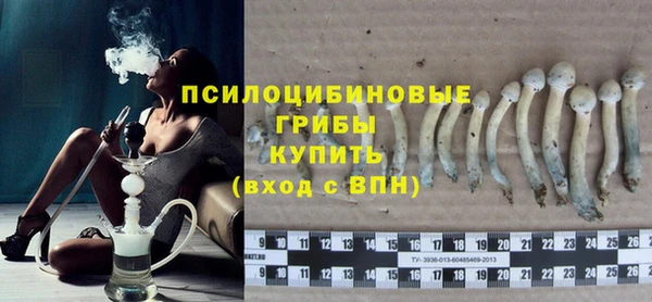 ГАЛЛЮЦИНОГЕННЫЕ ГРИБЫ Карпинск