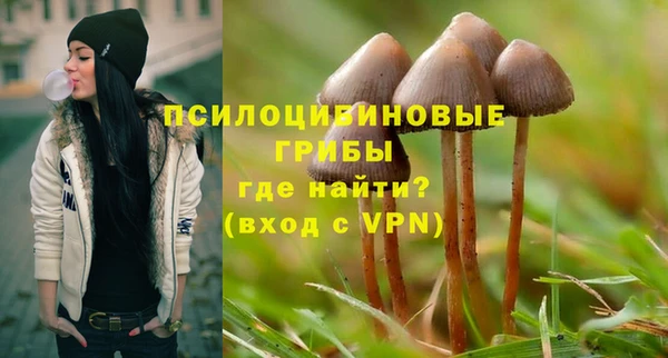 ГАЛЛЮЦИНОГЕННЫЕ ГРИБЫ Карталы