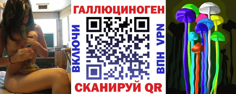Купить закладки  Йошкар-Ола  Галлюциногенные грибы Psilocybine cubensis 